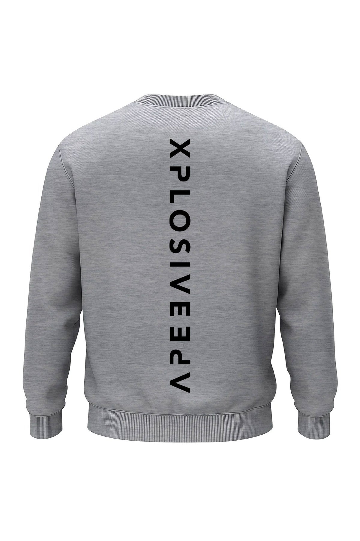 XAPE Futuristic V2 Sweatshirt - Sports Grey