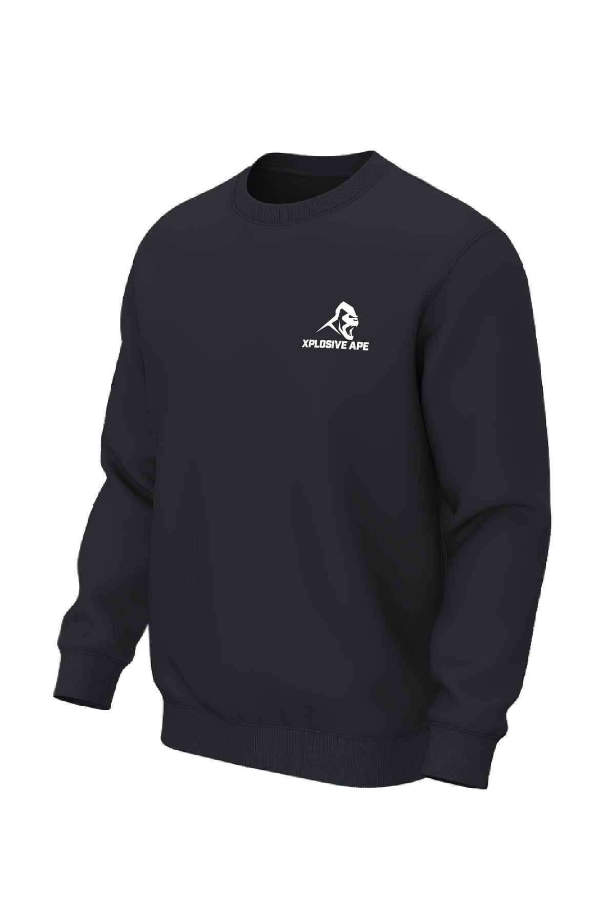 XAPE Futuristic V2 Sweatshirt - Black