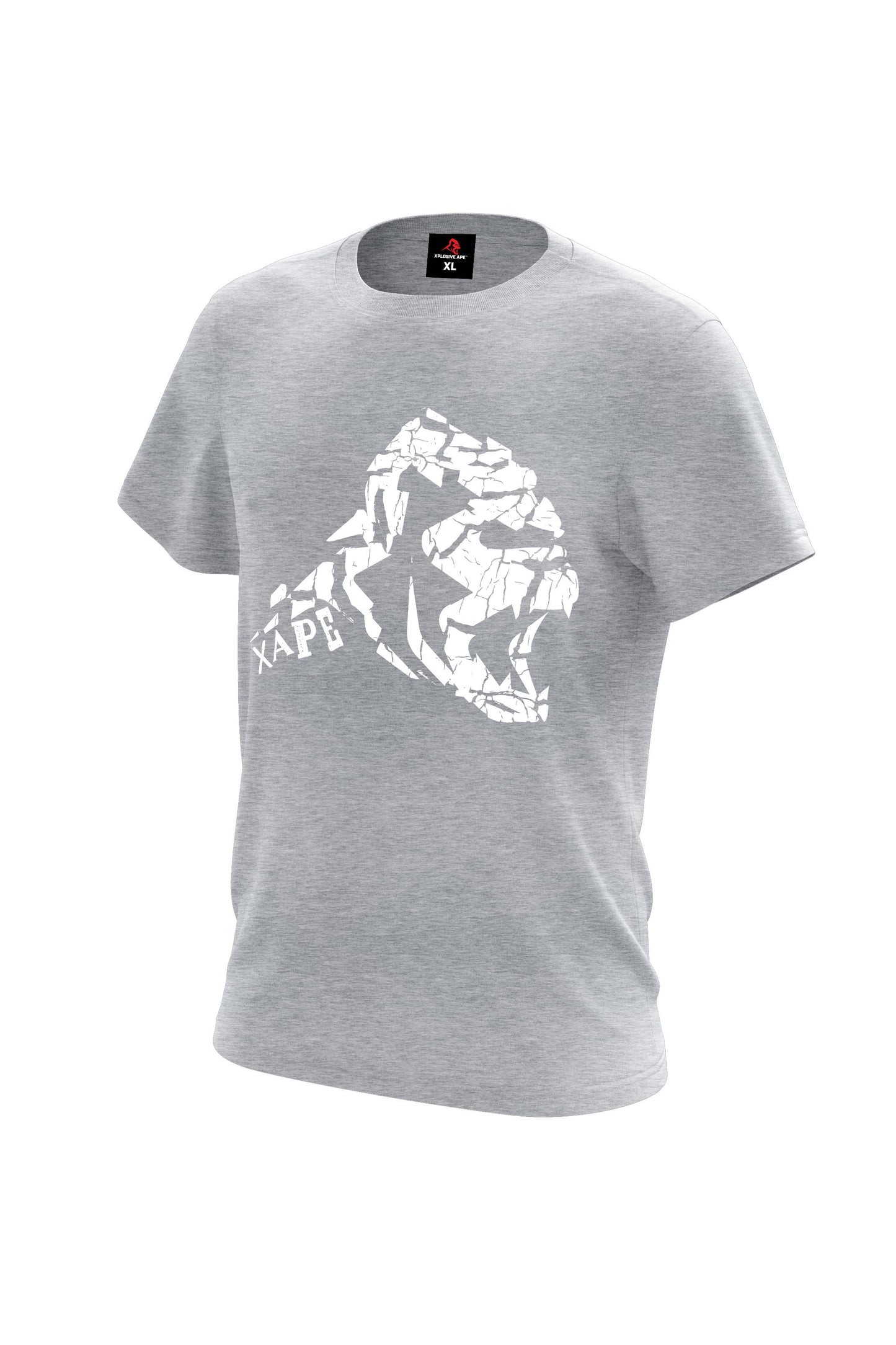 XAPE Cracked Earth Tee - Sports Grey