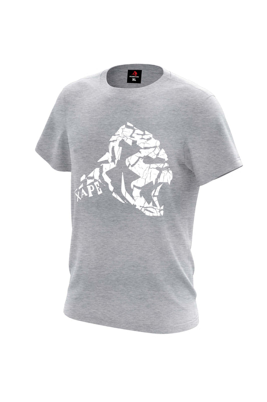 XAPE Cracked Earth Tee - Sports Grey
