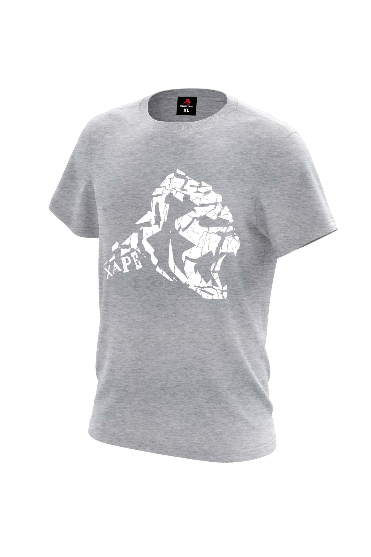 XAPE Cracked Earth Tee - Sports Grey