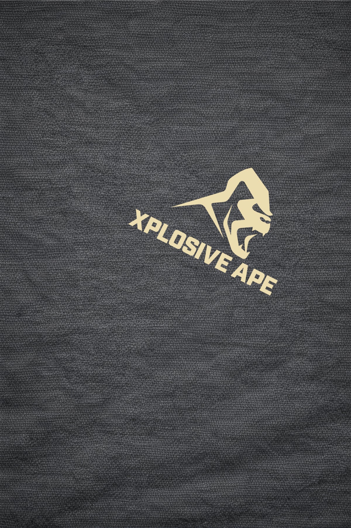 XAPE Discipline Hoodie - Charcoal