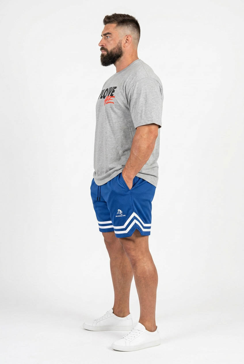 XAPE Holder V2 Tee & Strike Shorts Combo - Sports Grey/Blue